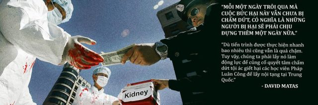 11988639_1665864203650830_3837563701109078748_n