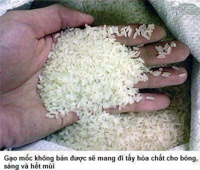 gao moc thanh gao sang