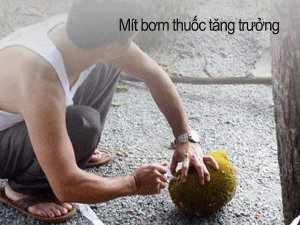 Mti bom thuoc