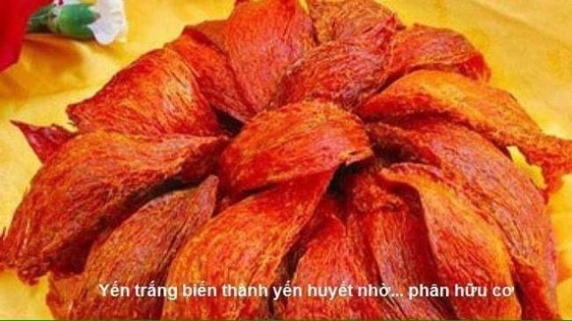Yen trang thanh yen huyet