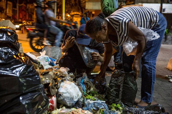 Qua doi Venezuela.jpg